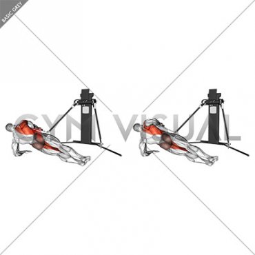 Cable Side Plank Row (VERSION 3)