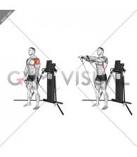 Cable Standing Front Raise (VERSION 3)