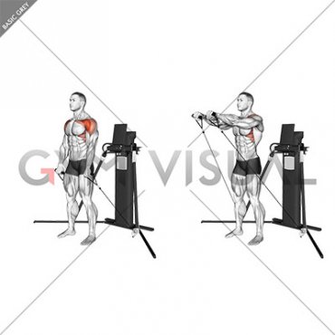 Cable Standing Front Raise (VERSION 3)