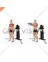 Cable Standing Front Raise (VERSION 3)