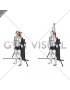 Cable Standing Single Arm Overhead Triceps Extension (VERSION 3)