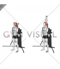 Cable Standing Single Arm Overhead Triceps Extension (VERSION 3)