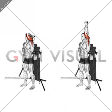 Cable Standing Single Arm Overhead Triceps Extension (VERSION 3)