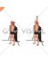 Cable Standing Single Arm Overhead Triceps Extension (VERSION 3)