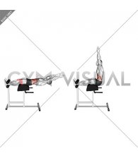 Glute Ham Developer Straight Arms Sit up