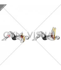 Resistance Band Lying Floor Chest Press (male)