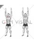 Bodyweight Standing Overhead Shrug