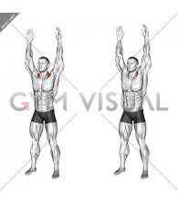 Bodyweight Standing Overhead Shrug