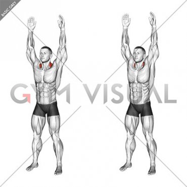 Bodyweight Standing Overhead Shrug