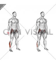 Standing Ankle and Hip Drill