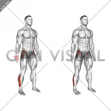 Standing Ankle and Hip Drill