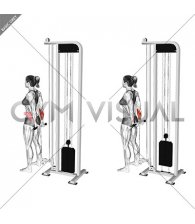 Cable Standing Back Wrist Curl (female)