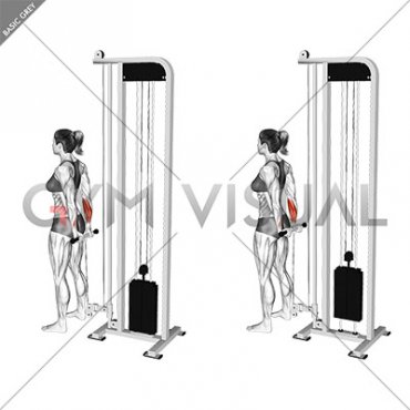 Cable Standing Back Wrist Curl (female)