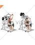 Lever Reverse grip Lateral Pulldown (plate loaded) (female)