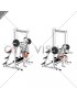 Smith Bench Squat