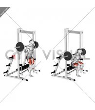 Smith Bench Squat