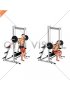 Smith Bench Squat