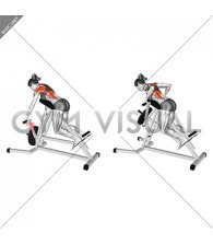 Lever Lying T bar Row (female)