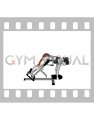 Weighted Plate Hyperextension (VERSION 2) (female)