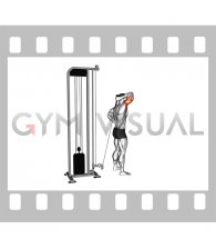 Cable Overhead Single Arm Triceps Extension (rope attachment)