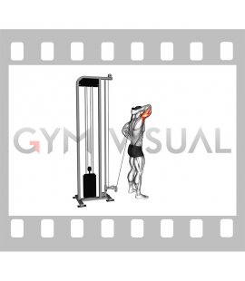 Cable Overhead Single Arm Triceps Extension (rope attachment)