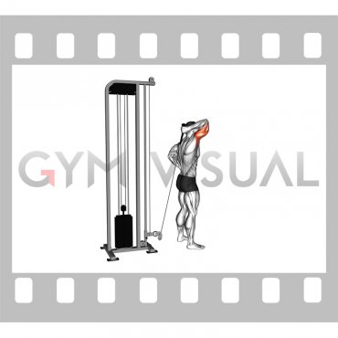 Cable Overhead Single Arm Triceps Extension (rope attachment)