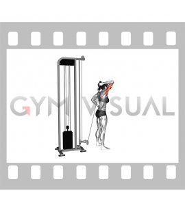 Cable Overhead Single Arm Triceps Extension (rope attachment) (female)