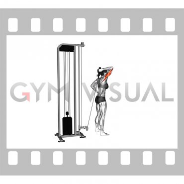 Cable Overhead Single Arm Triceps Extension (rope attachment) (female)
