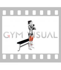Dumbbell Goblet Box Squat (female)