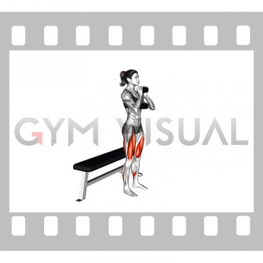 Dumbbell Goblet Box Squat (female)