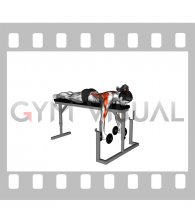Dumbbell Lying Neutral Grip Row on Rack (female)