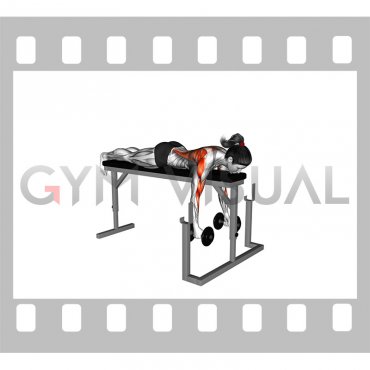 Dumbbell Lying Neutral Grip Row on Rack (female)