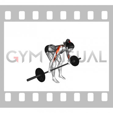 Barbell Bent Over Wide Grip Row (female)