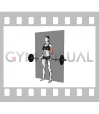 Barbell Srtict Curl (female)