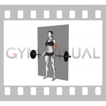 Barbell Srtict Curl (female)