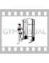 Cable One Arm Biceps Curl (VERSION 2) (female)