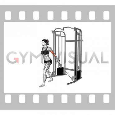 Cable One Arm Biceps Curl (VERSION 2) (female)