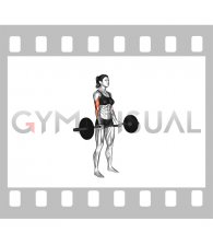 EZ Barbell Drag Curl (VERSION 2) (female)