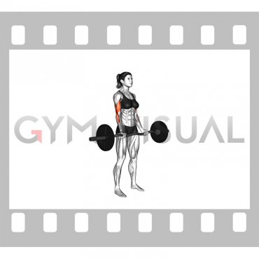 EZ Barbell Drag Curl (VERSION 2) (female)
