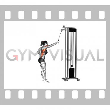 Cable One Arm Pulldown (female)
