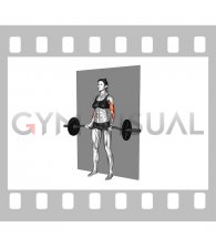 EZ-Bar Srtict Curl (female)