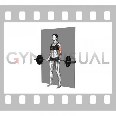 EZ-Bar Srtict Curl (female)