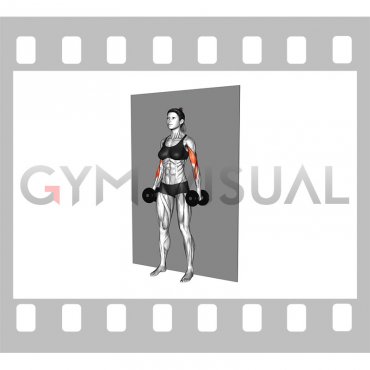 Dumbbell Hammer Srtict Curl (female)