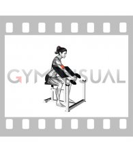 Dumbbell One Arm Hammer Preacher Curl (female)