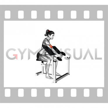 Dumbbell One Arm Hammer Preacher Curl (female)