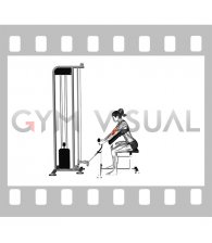Cable Rope Hammer Preacher Curl (female)
