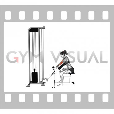Cable Rope Hammer Preacher Curl (female)