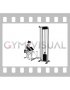 Cable One Arm Preacher Curl (female)