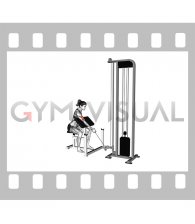 Cable One Arm Preacher Curl (female)