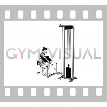 Cable One Arm Preacher Curl (female)